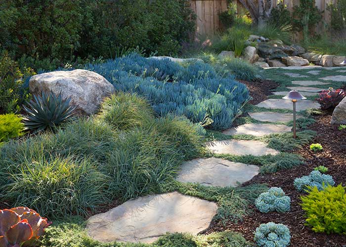 Designer Ideas for Inspired Pathway Plantings Fuss-Free Walkway