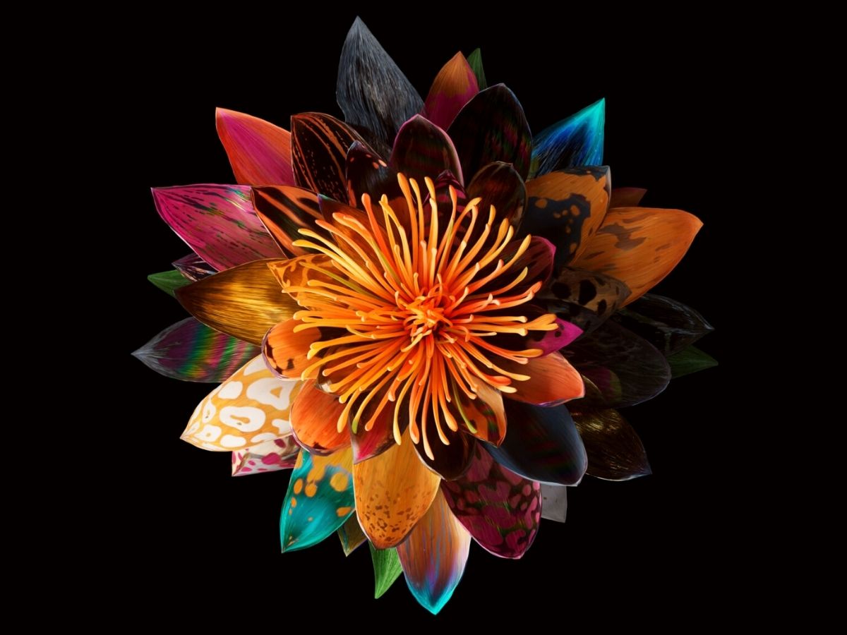 Colorful nft project of flowers by Mat Collishaw