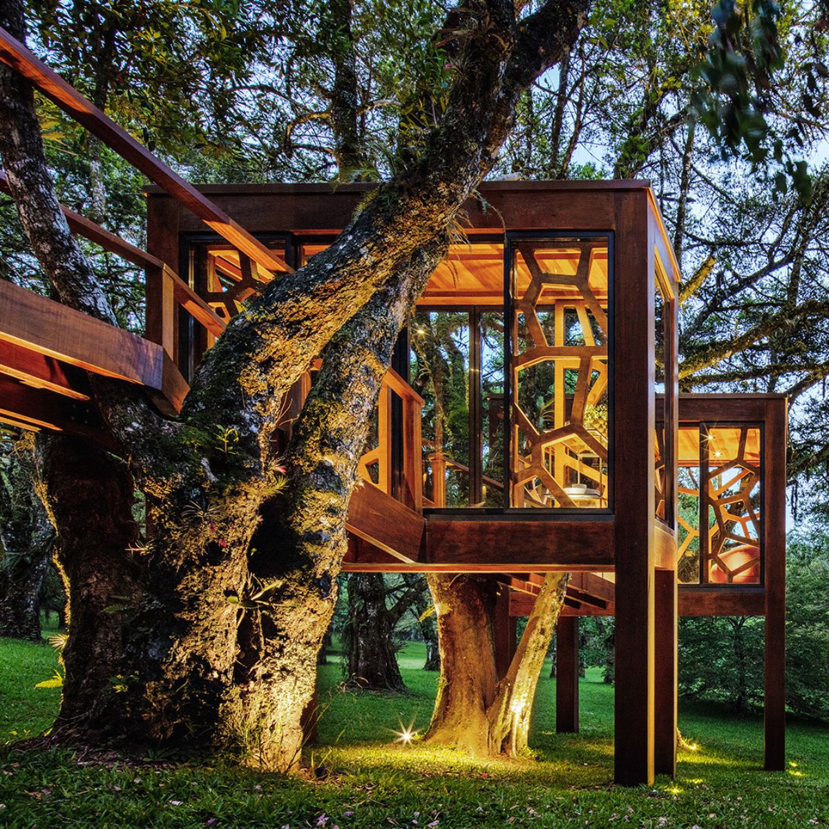 Wooden tree house intended to bring back playful inner self