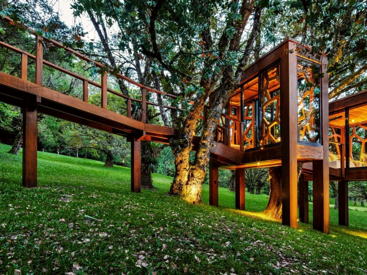 Structure of tree house by MEMM studio