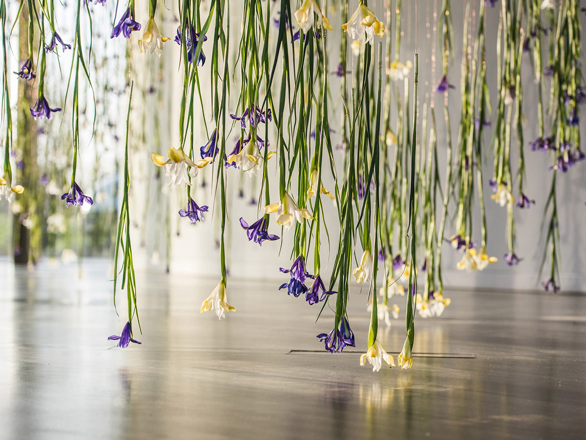 Hanging iris installation