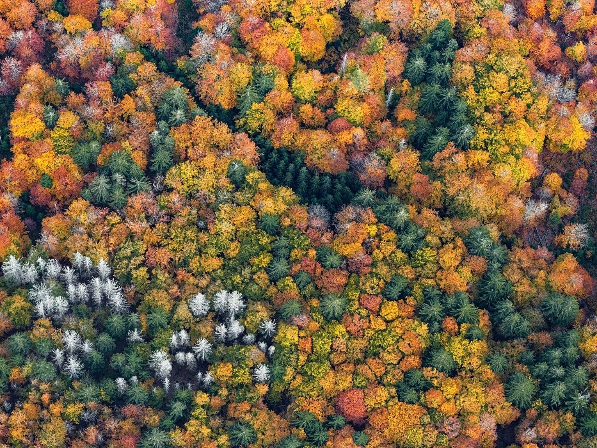 Aerial views shot by German photographer Bernard Lang