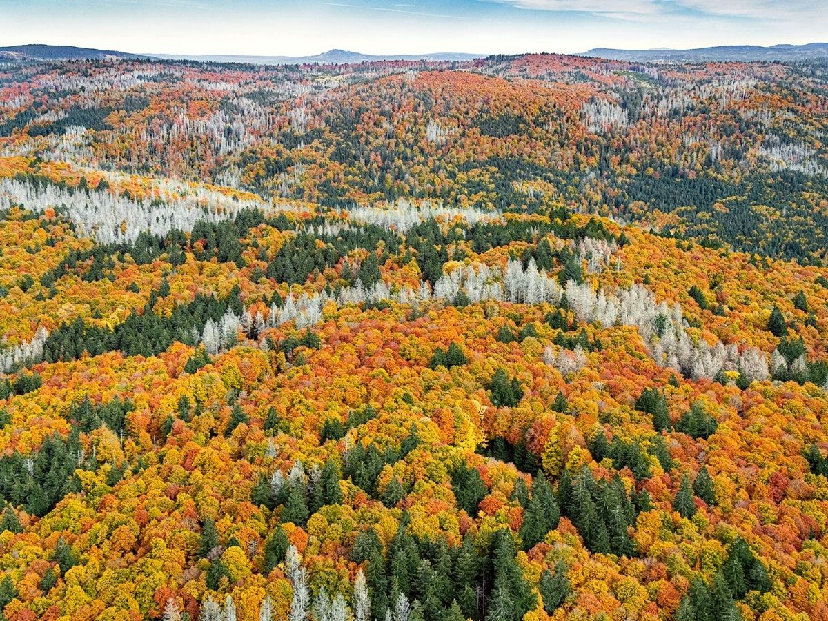 Bernard Lang photographer of aerial views