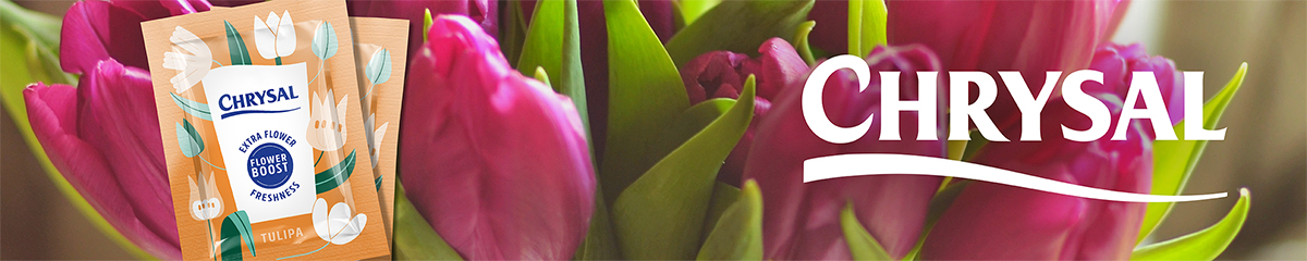 Chrysal Tulips banner