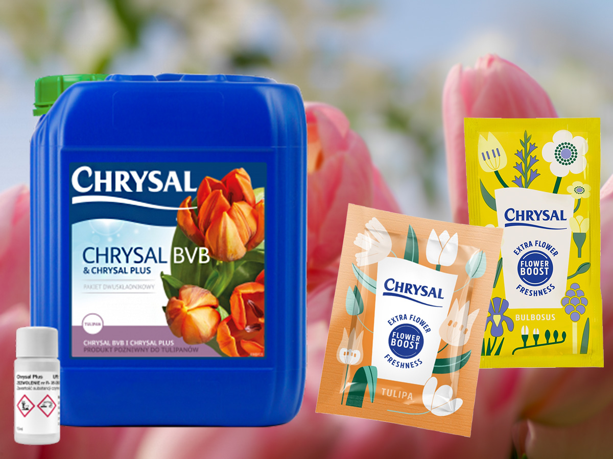 Chrysal tulip flower food