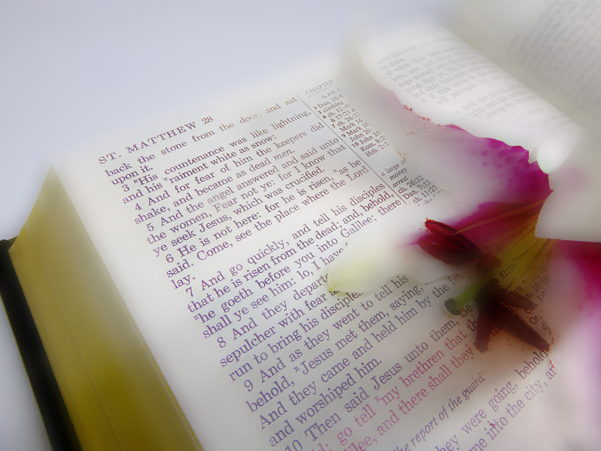 Flowers in the bible with lily on right page
