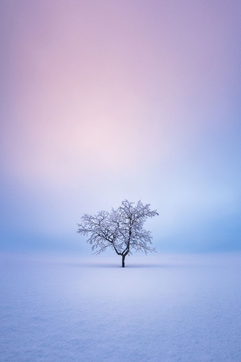 Mikko Lagerstedt photographs mix of colors in snow