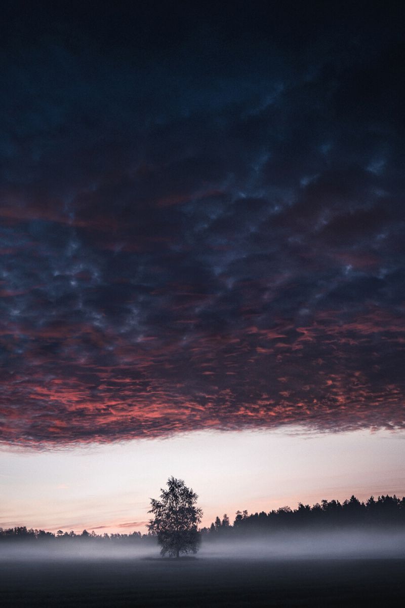 Deep contrast photography of Finnish landscape