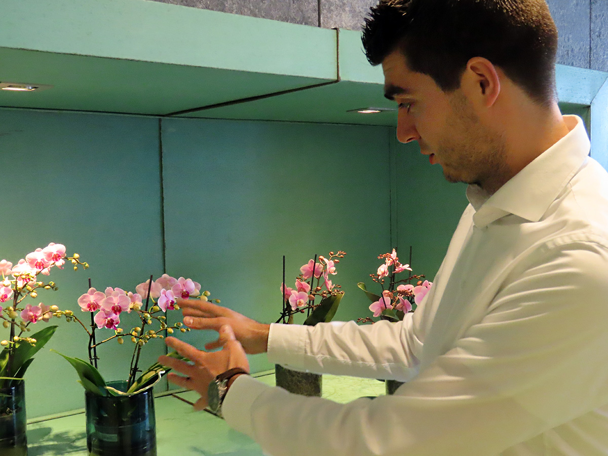 Marco Heijnen with pink phalaenopsis at Floricultura