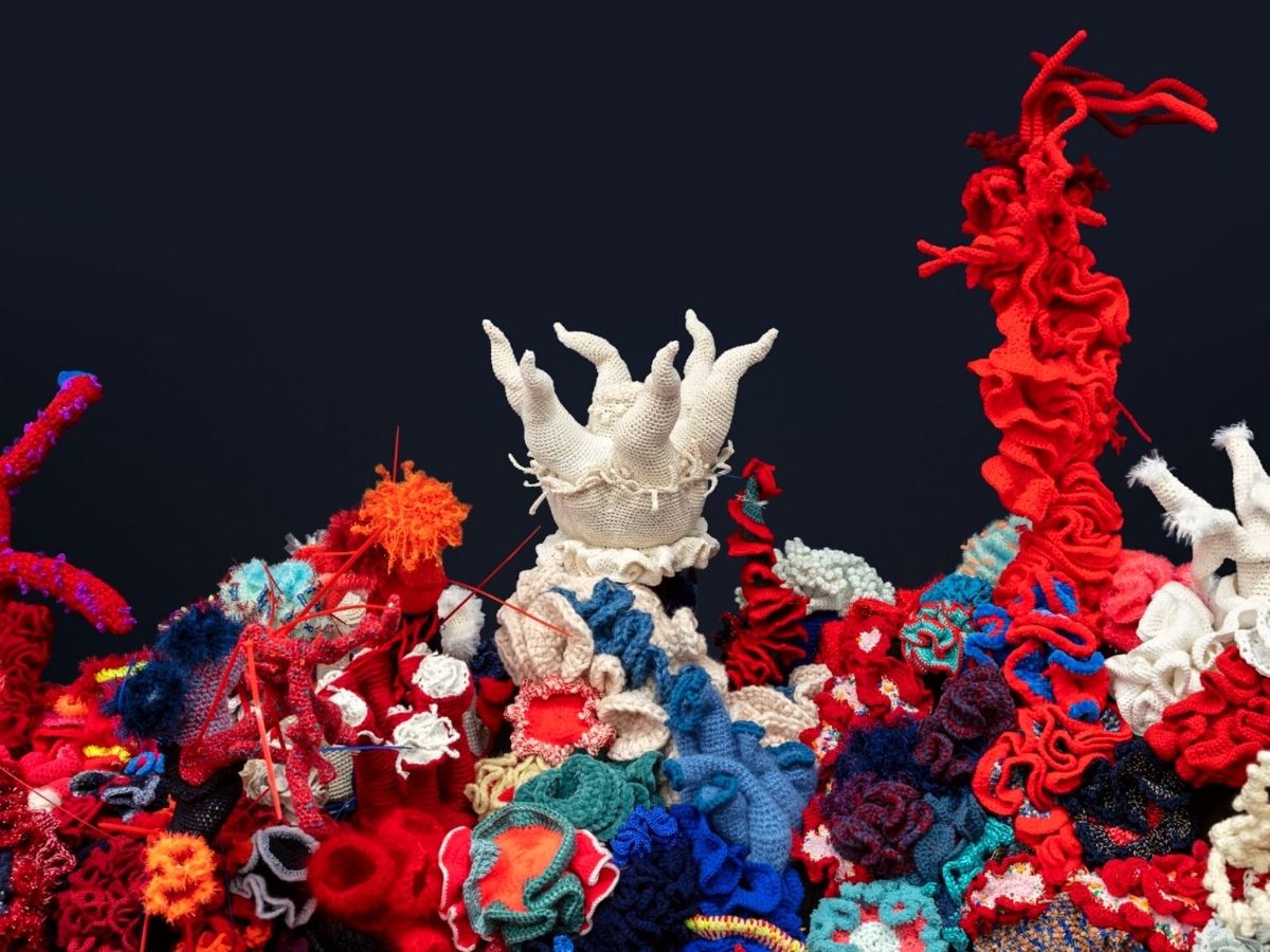 Crochet sculptures of coral reef