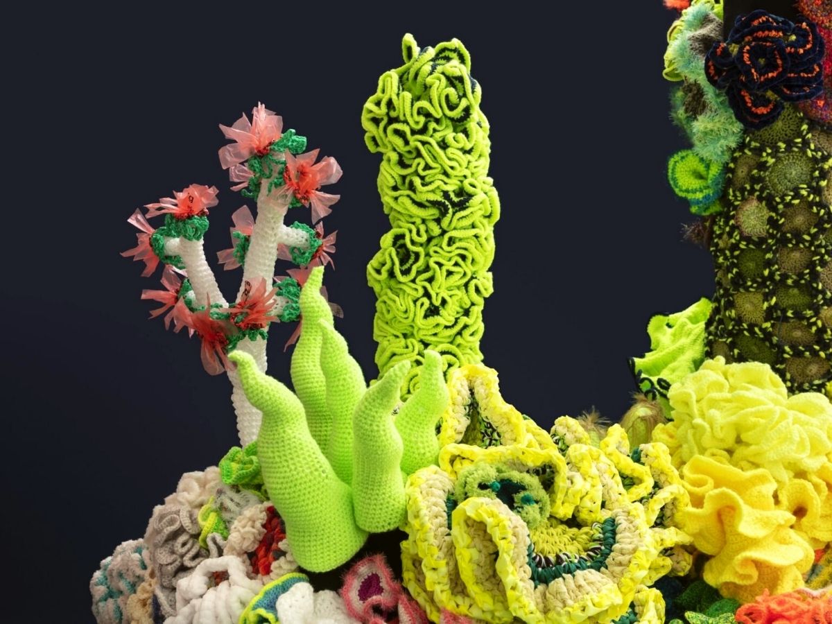 Wertheim sisters create crochet sculptures for climate crisis awareness