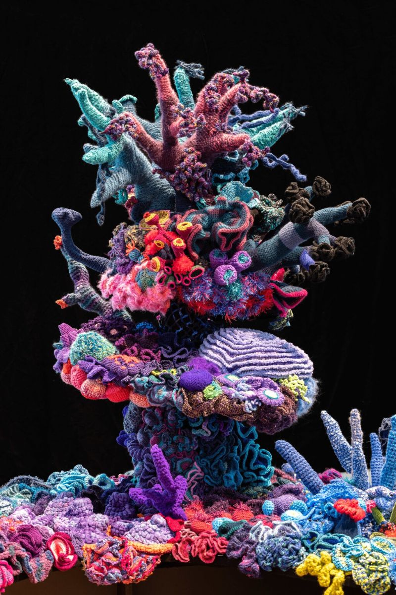 Amazing crochet figures representing coral reef project