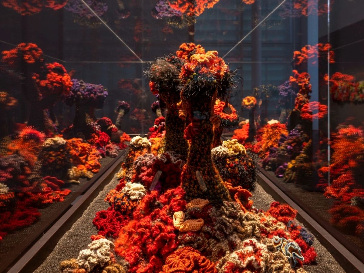 Inside of coral crochet sculptures as in real life