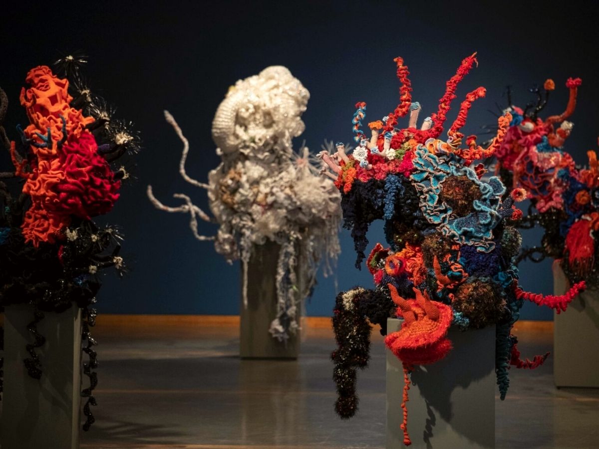 Climate crisis is seen through crochet sculptures
