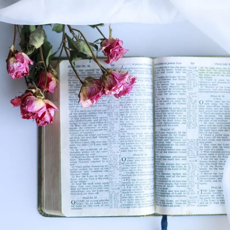 Flowers in the bible