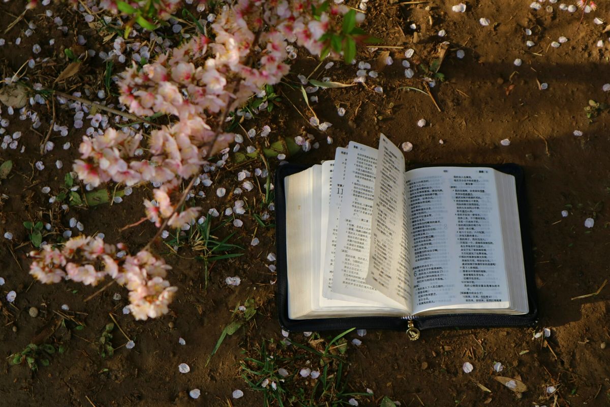 Flowers in the Bible with prunus