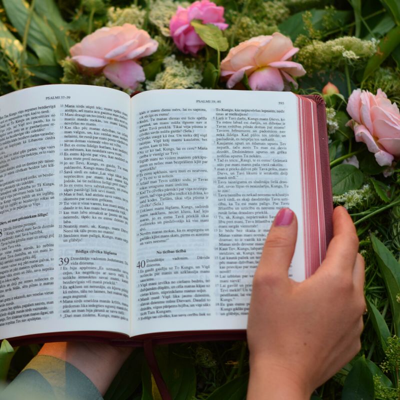 Flowers in the Bible open book