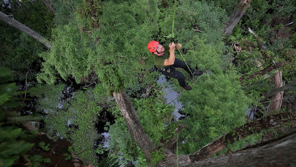 Chasing Ghosts - A New Discovery That Upends What We Thought We Know About Ghost Orchids Grizzly Creek Films