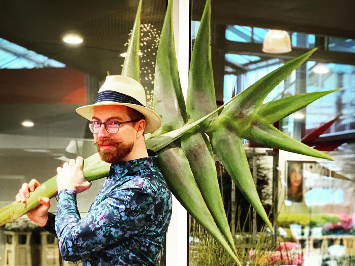 Heliconia Giant Green Stephan Winzer Floral Design