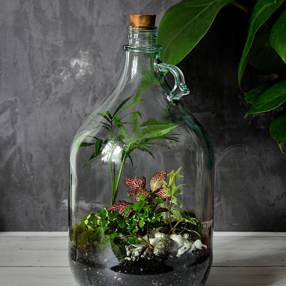 Nerve plants in a glass jar