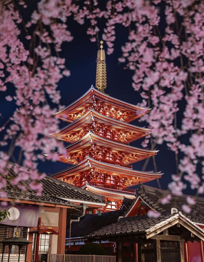 Nishi Park Fukuoka With Its Beautiful Cherry Blossom Trees aka Sakura