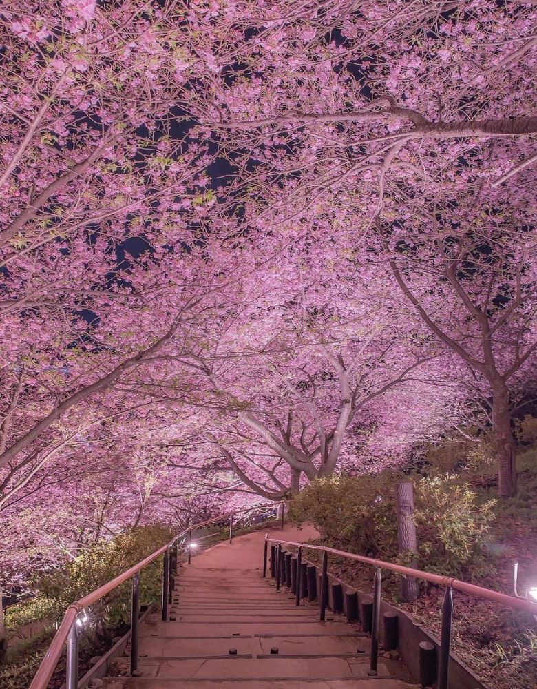 A pink cherry blossom pagoda takes inspiration from the delicate beaut