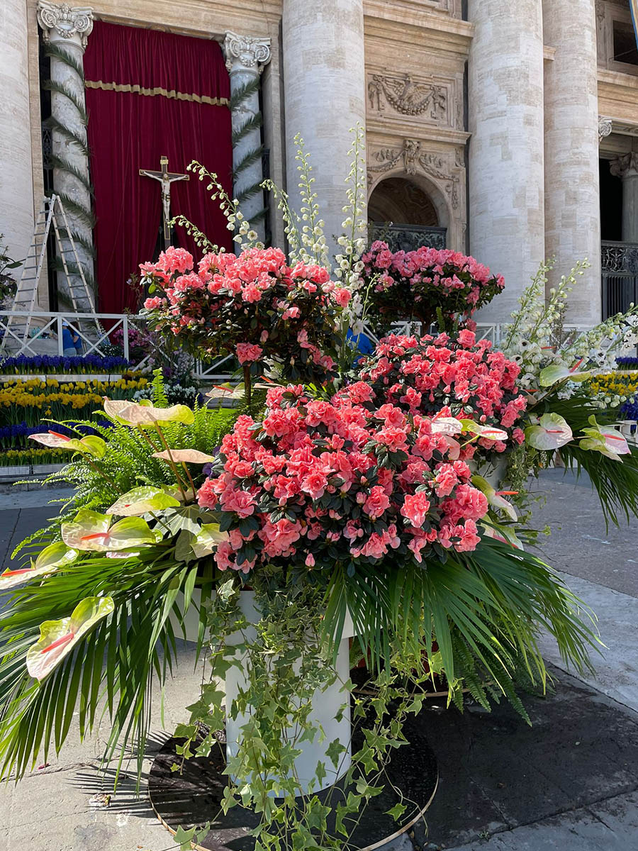 Easter mass roses and anthuriums in Rome