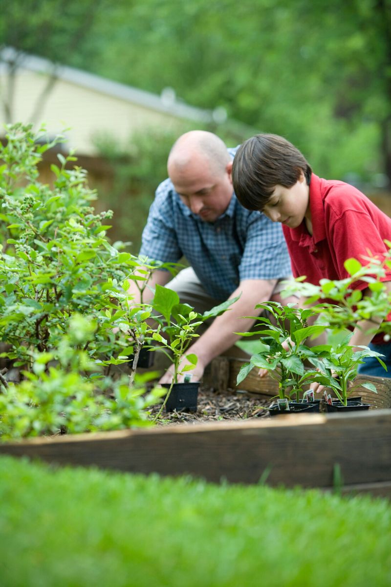 Benefits of gardening on national gardening day