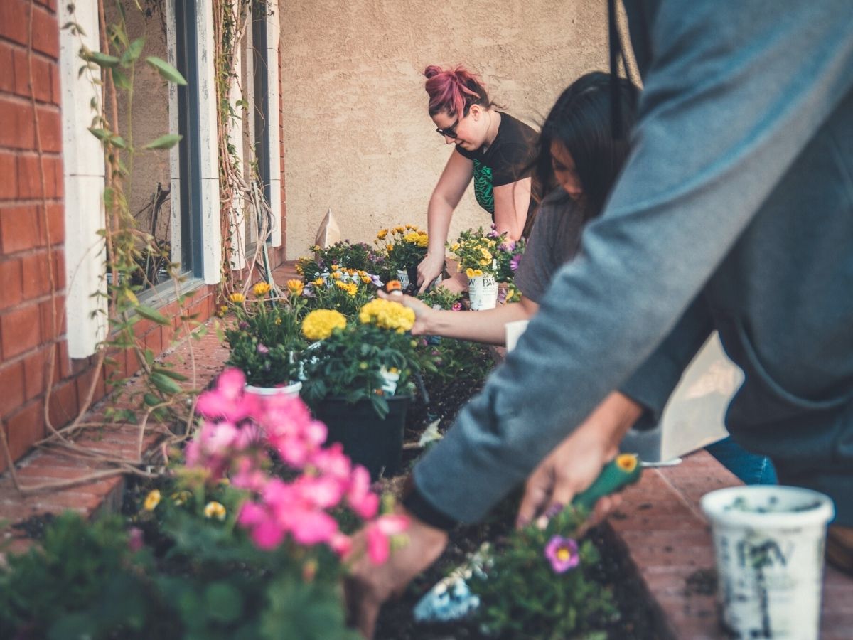 Tips to make your garden thrive