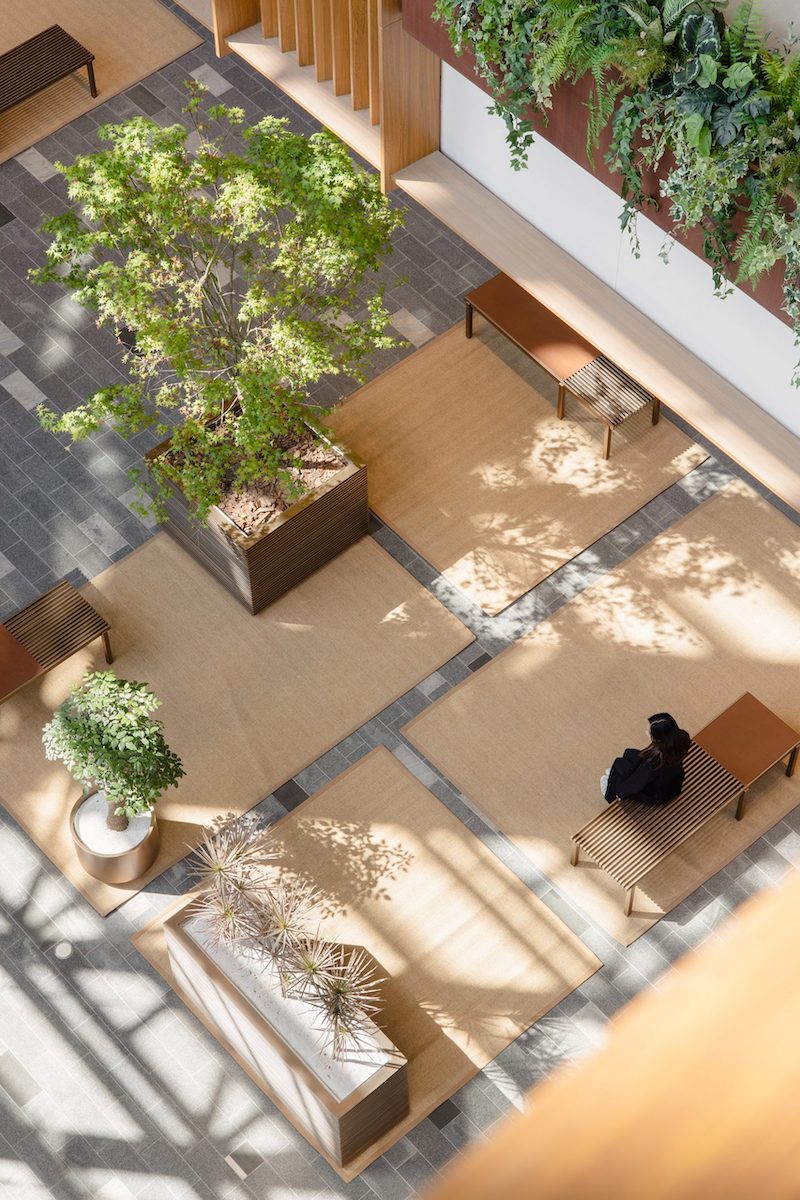 AIM Architecture Turns Shopping Mall Atrium Into Indoor Jungle Tropical Plants