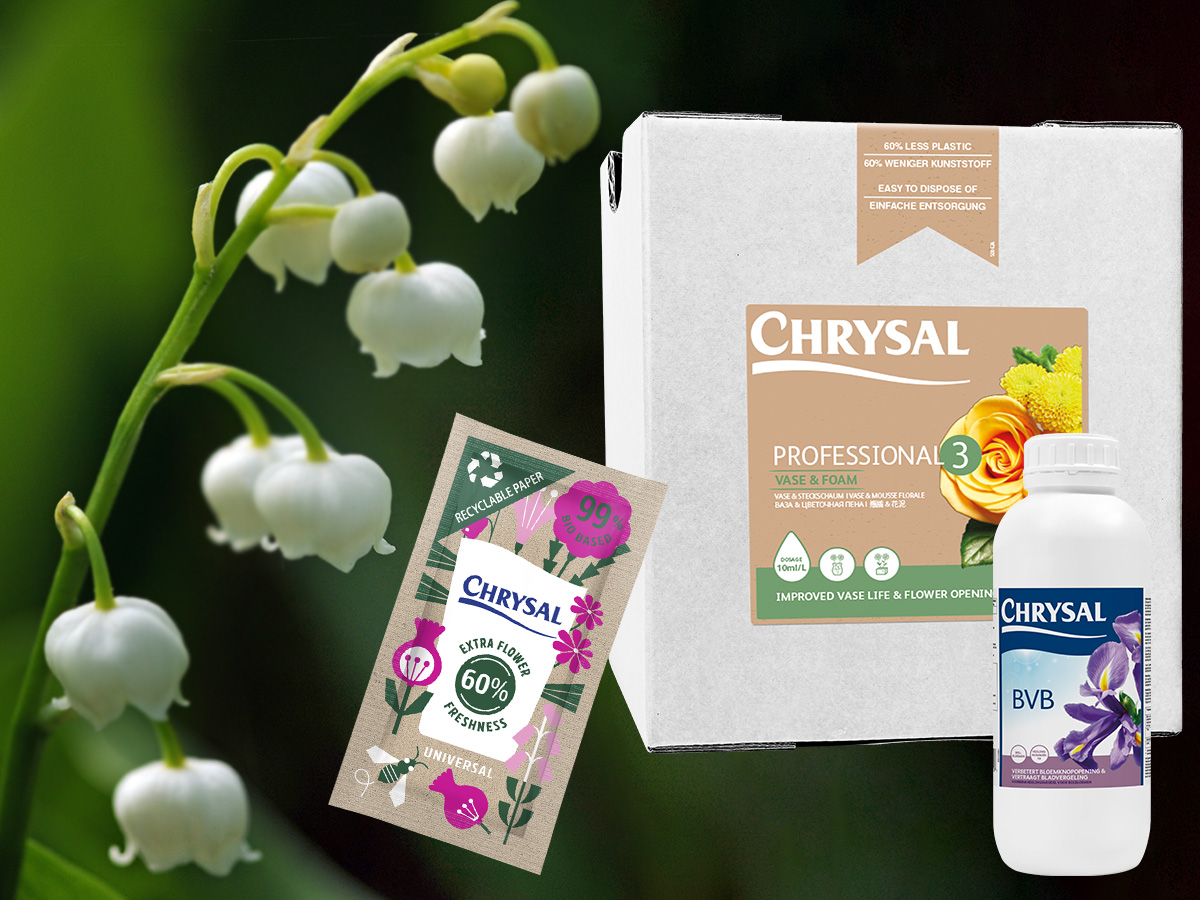 Chrysal for Lily of the Valley Care