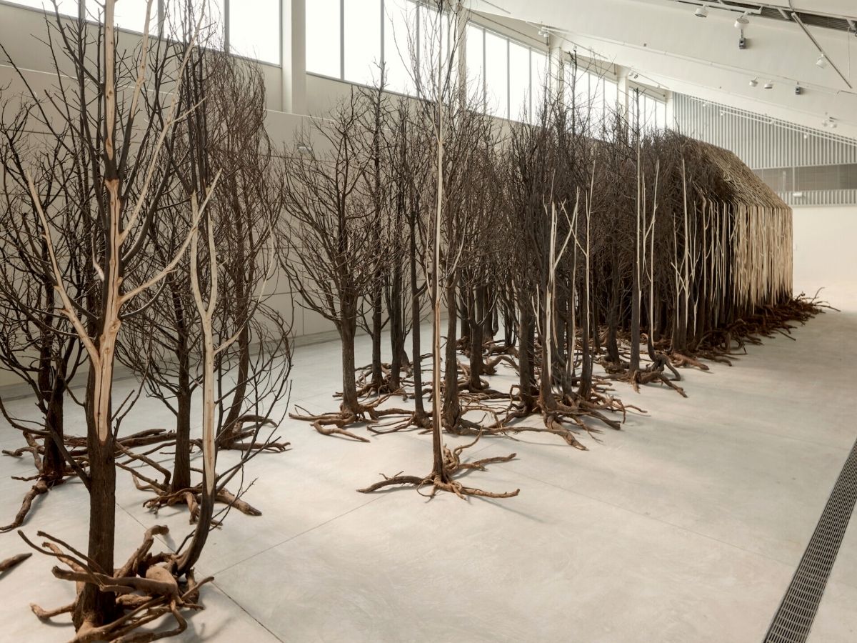 Doris Salcedo specialist in large sculptures