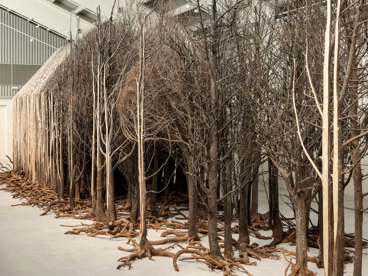 Doris Salcedo colombian artist