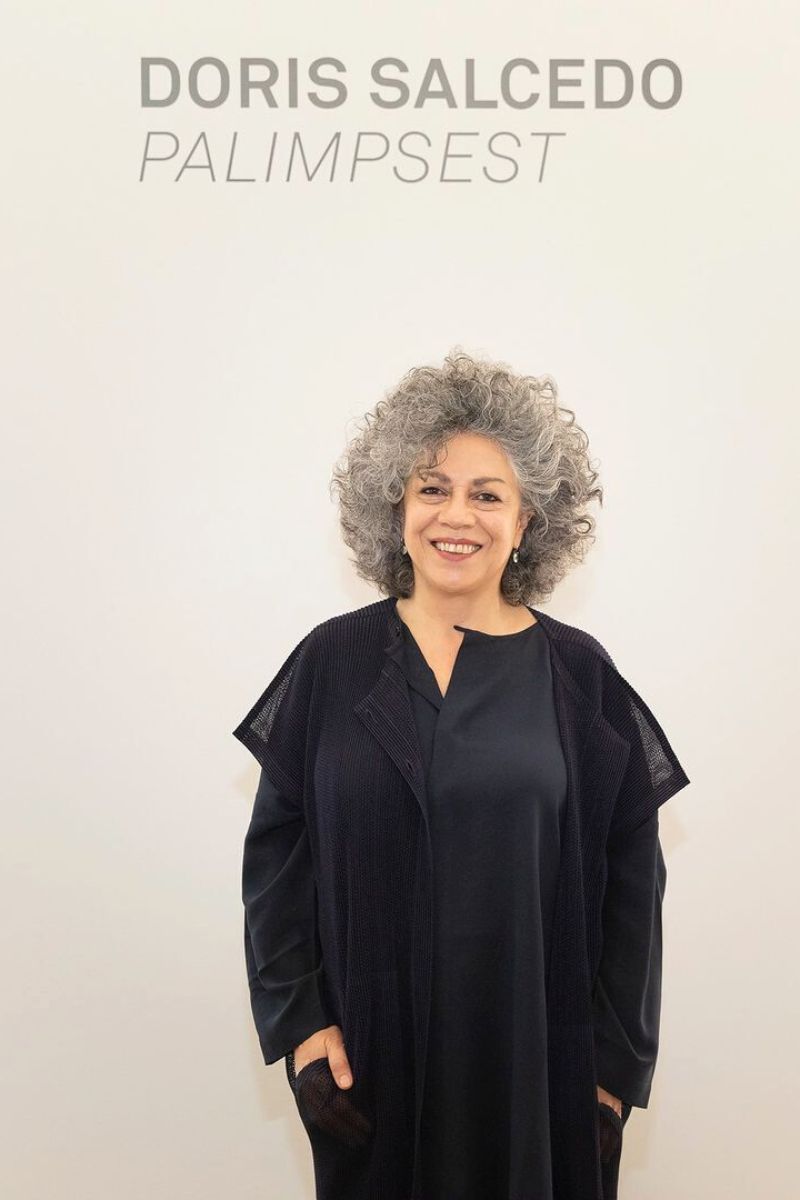 Doris Salcedo biography