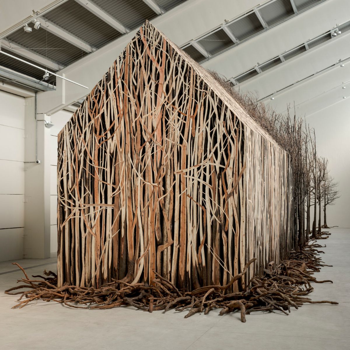 Doris Salcedo artwork