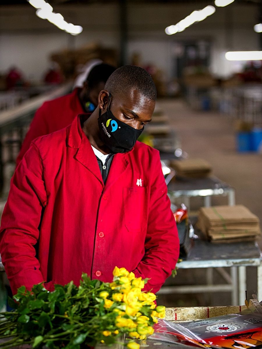 Sian Flowers employees arrange roses