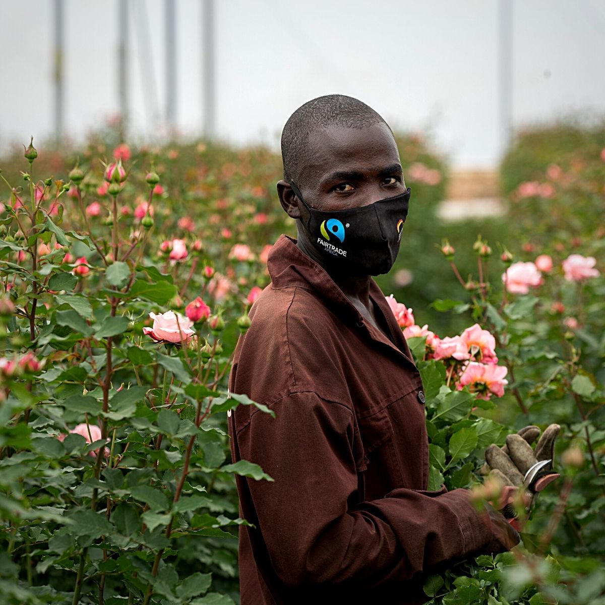 Sian Flowers farm employee