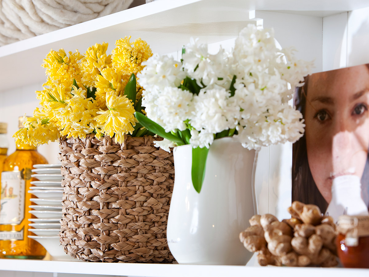 yellow hyacinths