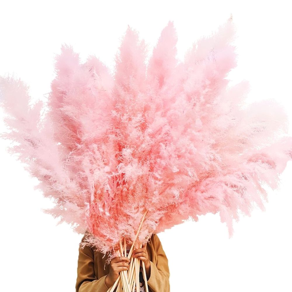 Pink Pampas Grass