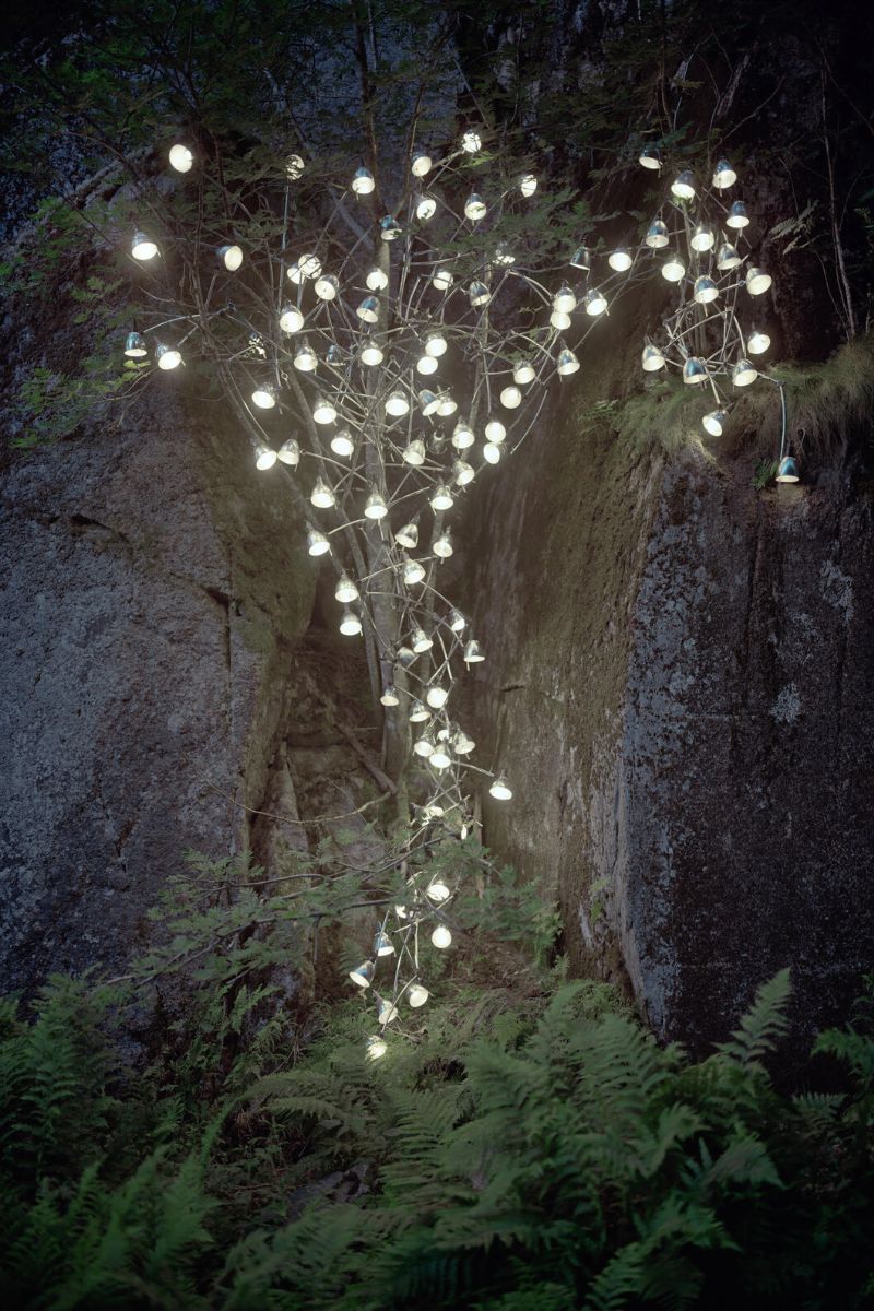 Rune Guneriussens illuminates forest with light bulbs