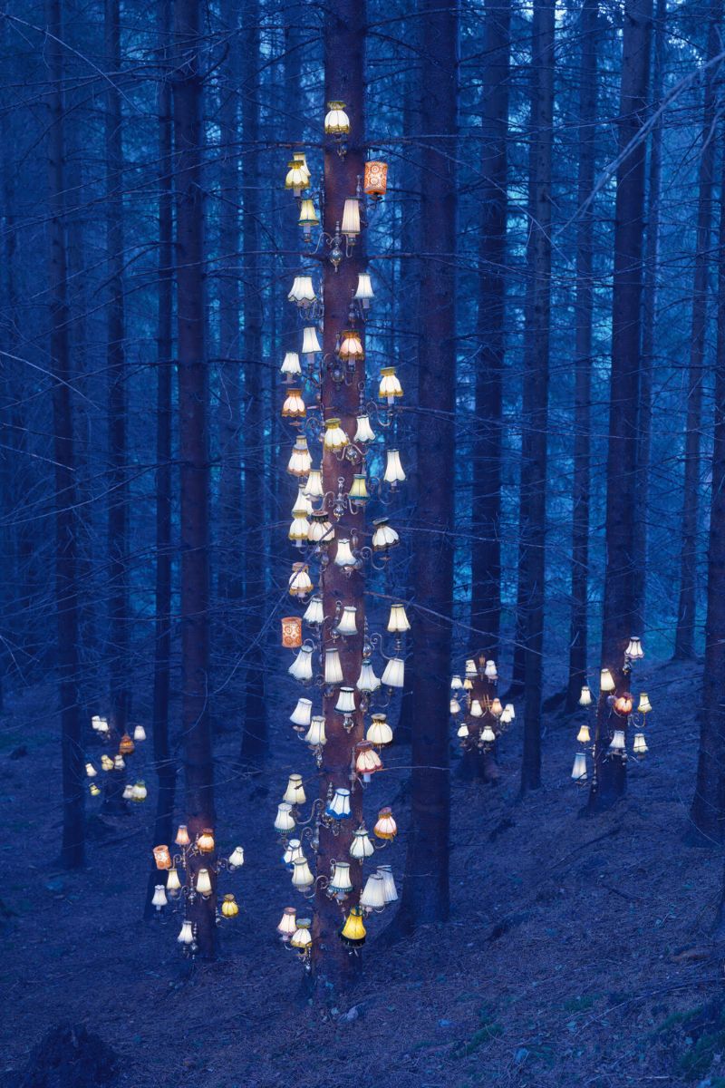 Illuminated forest with lamps