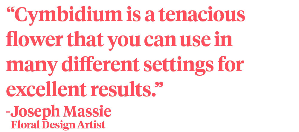 Joseph Massie cymbidium quote