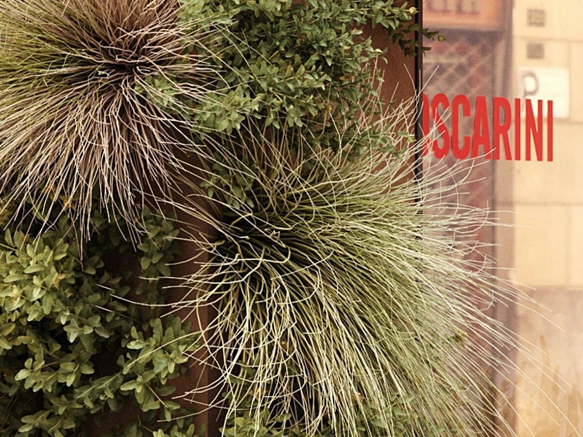 Foscarini Italian illumination shop uses botanical installations at shop