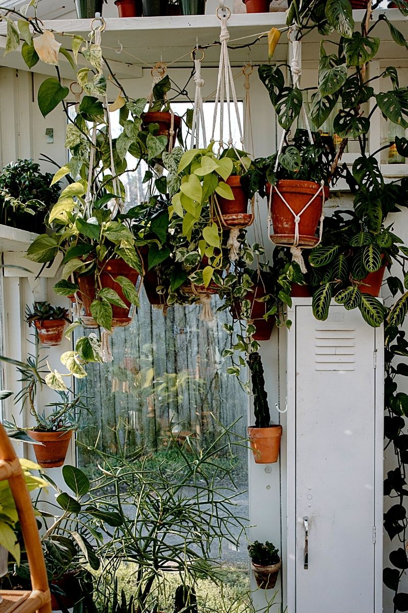 Indoors hanging garden with potted plants