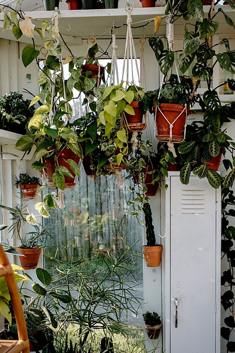 HANGING GARDENS  Hanging garden, String garden, Garden inspiration