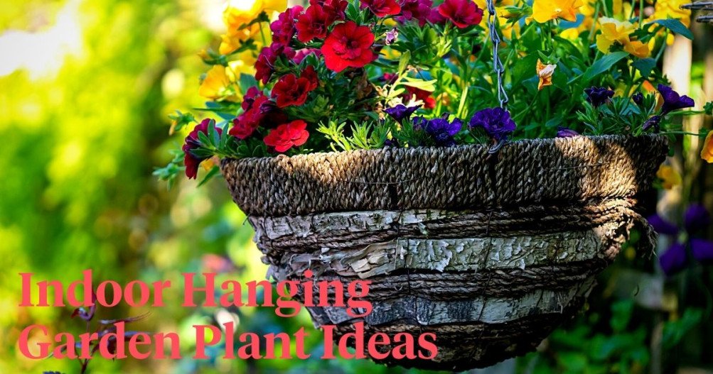 Hanging Garden Plant Ideas That Can Recreate Colorful Oases Inside Your