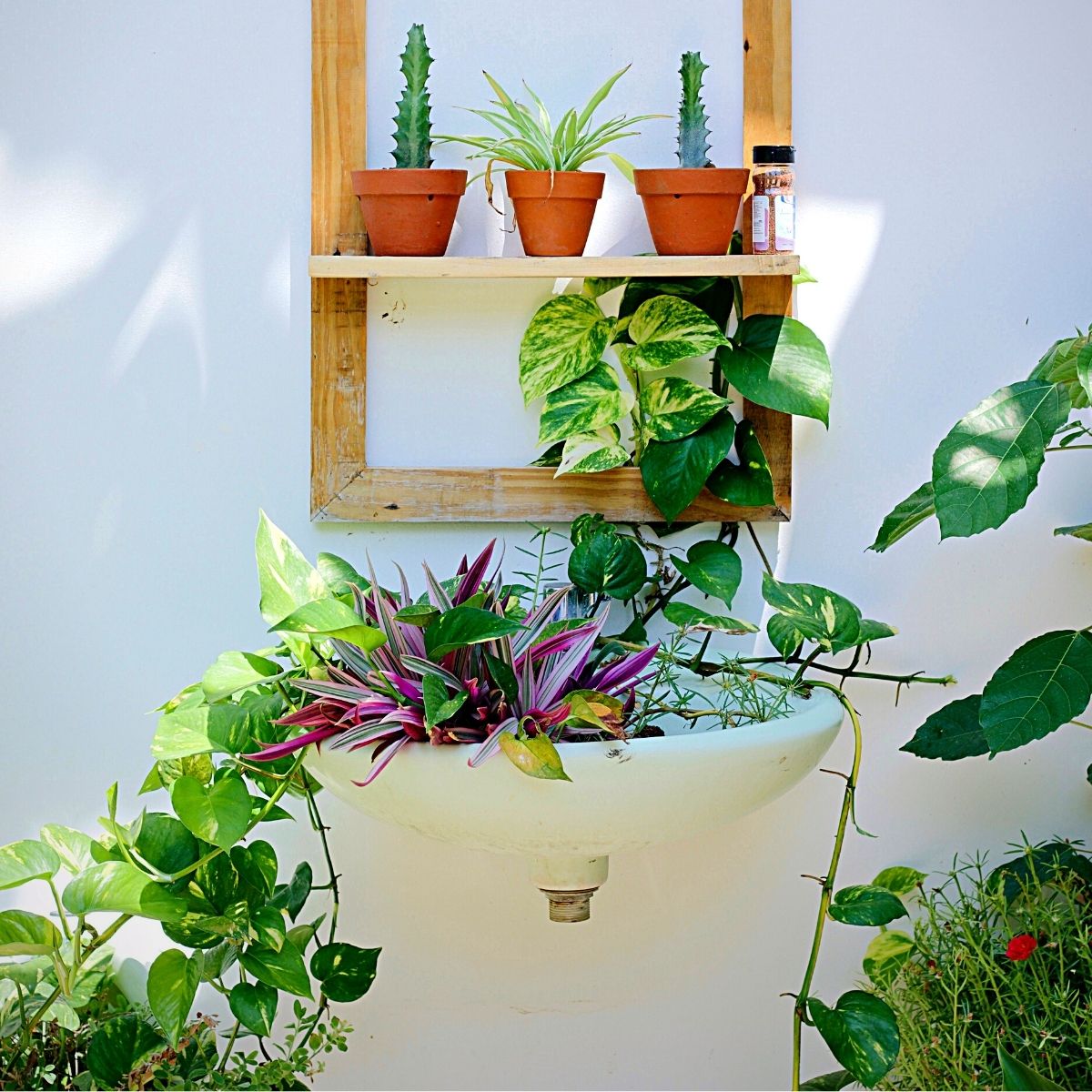 Potted Plants on Hanging Wooden Shelf