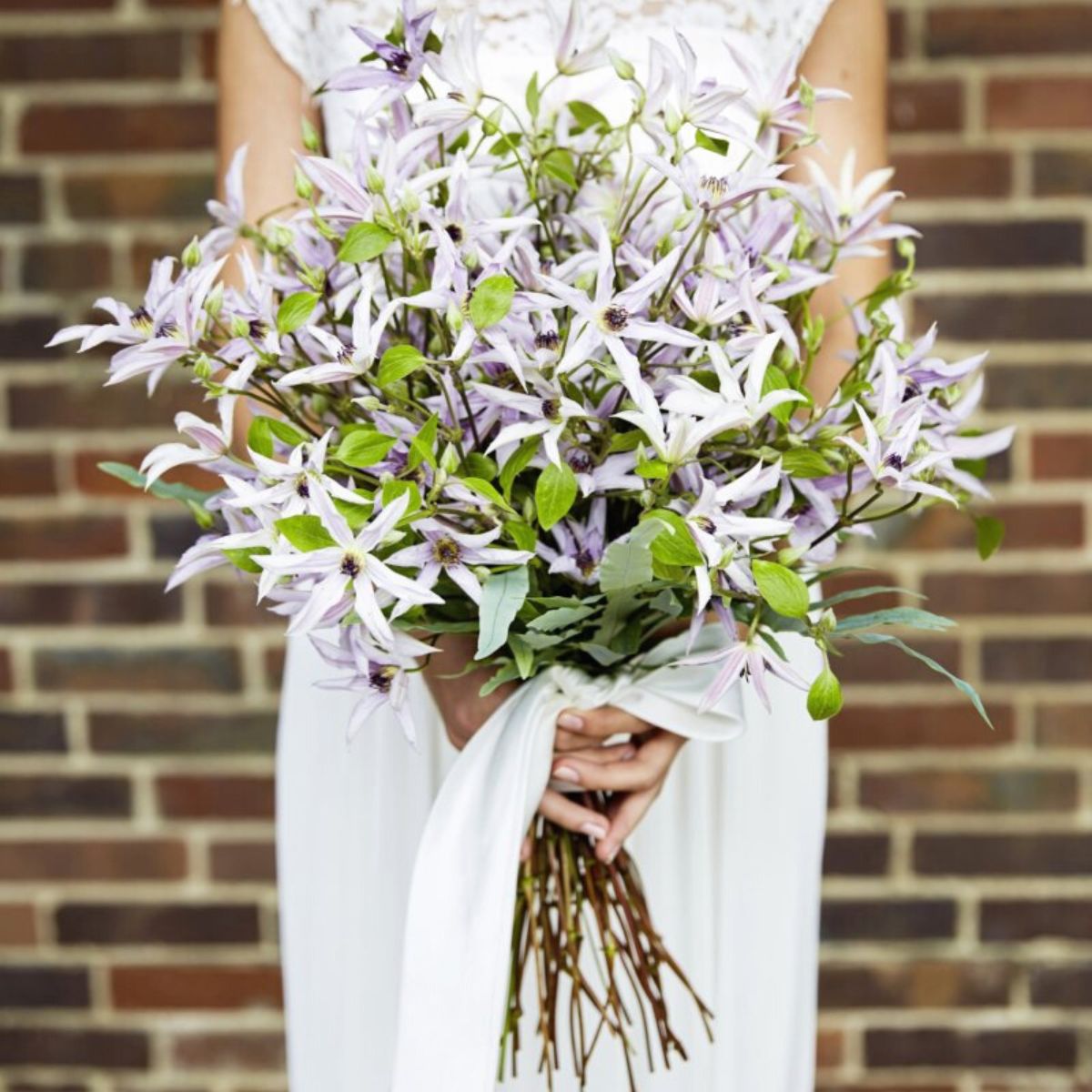 Clematis Amazing makes the perfect bridal bouquet