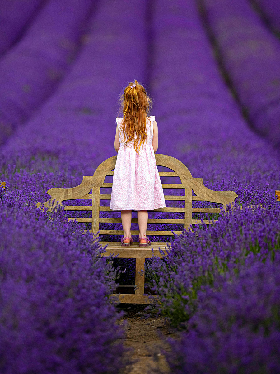 Girl in Castle Farm Lavender Fields