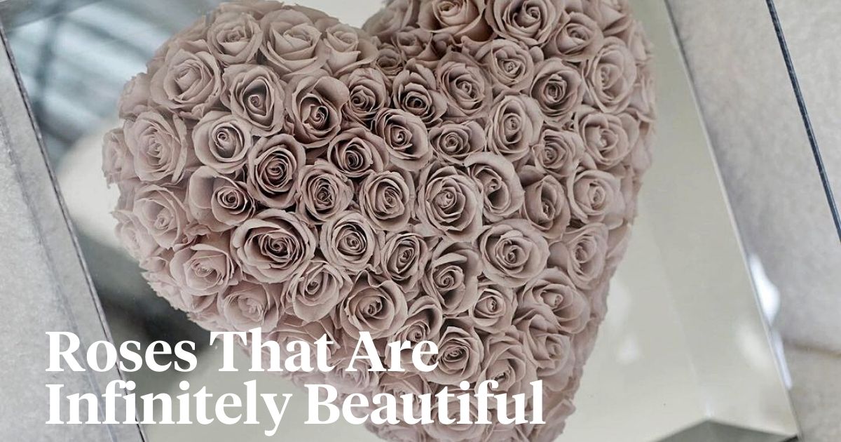 Infinity roses are infinitely beautiful header